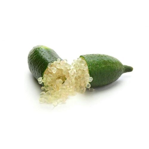 Citrus Australica/Finger Lime 'Giallo' - Kaviár citrom (TERMÉS NÉLKÜLI)