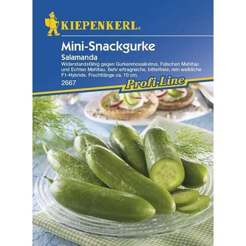 Mini snack uborka Salamanda F1