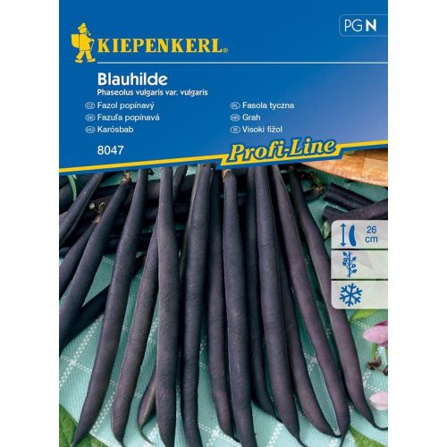 Phaseolus vulgaris 'Blauhilde' - karósbab mag 6-8karóhoz 