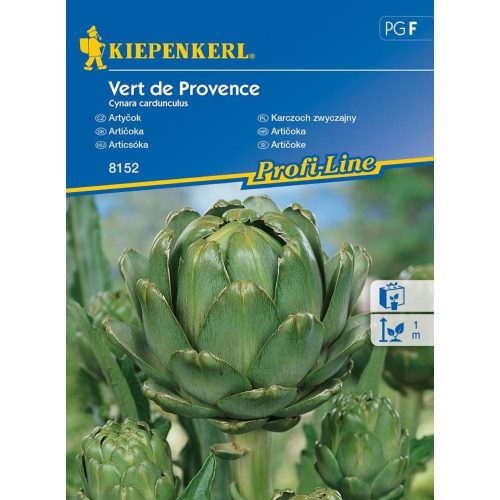 Cynara cardunculus - Articsóka 'Vert de Provence' vetőmag 20szem/csomag