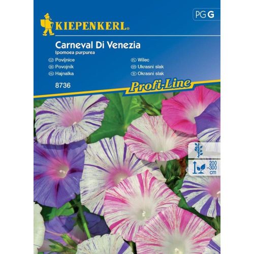 Ipomoea purpurea 'Carneval di Venezia' - Hajnalka 30szem/cs